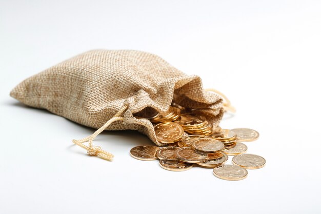 Golden RMB coins In cloth bag