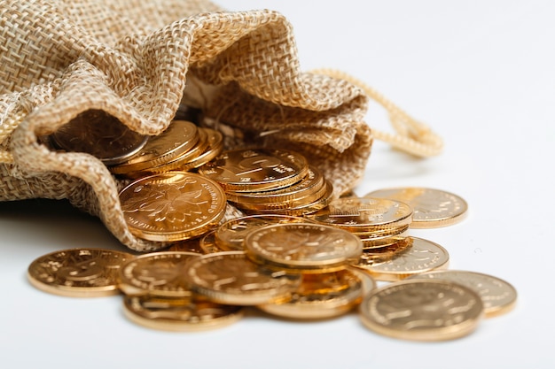 Golden RMB coins In cloth bag