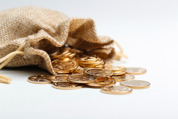 Golden rmb coins in cloth bag