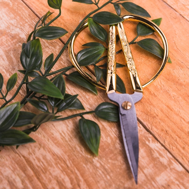 Golden scissors with green leaves