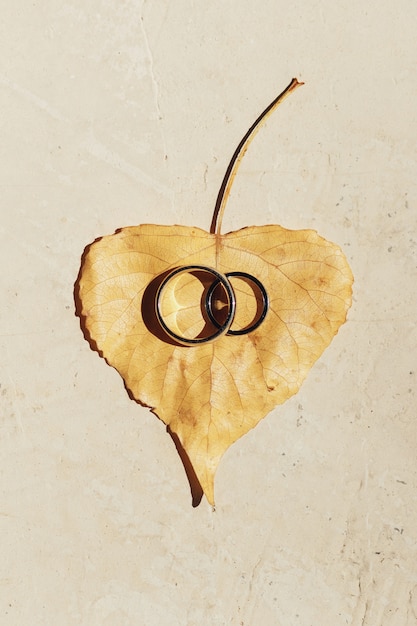 Free photo golden wedding rings lie on the fallen leaves