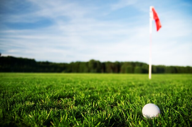 Golf ball in a grass field