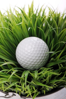 Pallina da golf in erba
