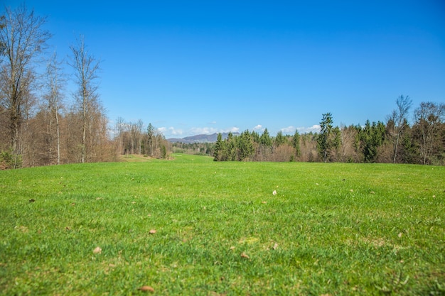 поле для гольфа в Оточеце, Словения, в солнечный летний день
