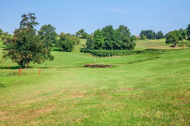 Golf course of Zlati Gric in Slovenia with vineyards and trees on a sunny day