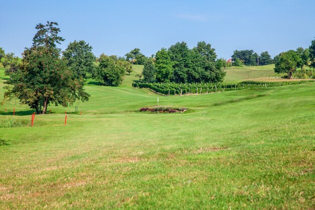 Golf course of Zlati Gric in Slovenia with vineyards and trees on a sunny day