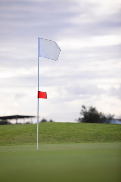 ゴルフコースの地面に手を振っているゴルフの旗