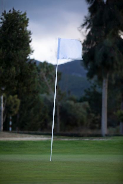 Флаг для гольфа развевается на поле для гольфа