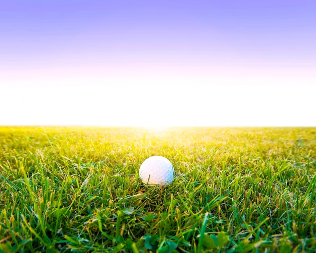 Foto gratuita golf gioco.