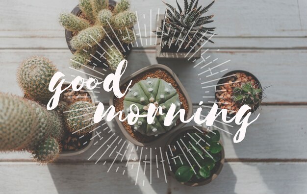 Free Photo good morning word with cactus background.
