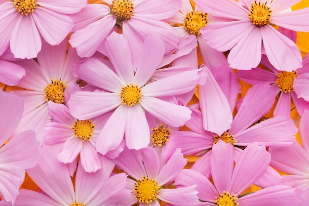 Free photo gorgeous arrangement of flowers wallpaper