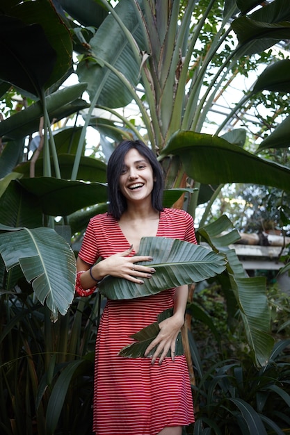 Gorgeous friendly looking dark-haired young lady in red dress with white stripes having fun in plant nursery, covering her body with two large green leaves, laughing cheerfully. Vertical shot