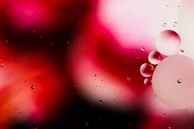 Gradient colour abstraction accompanied by transparent fluid bubbles