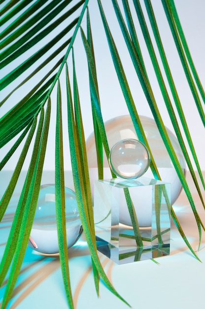 Free photo gradient tropical leaf still life close up