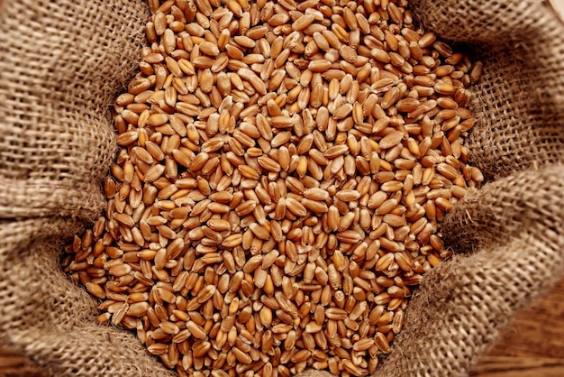 木製テーブル農業健康食品成分の穀物バッグ