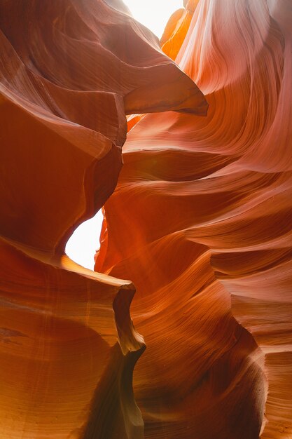 Grand Canyon nature footage in Arizona USA