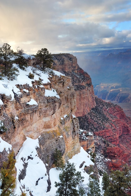 Vista panoramica del grand canyon in inverno con neve