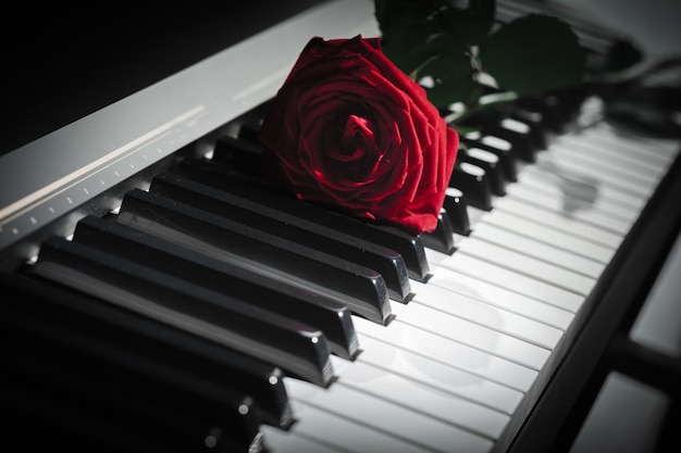 Foto gratuita pianoforte a coda con rosa rossa