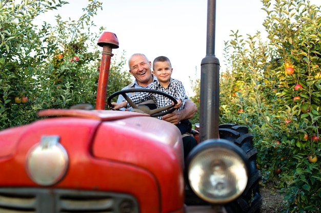 할아버지와 손자는 사과 과일 과수원을 통해 복고풍 스타일의 트랙터 기계를 함께 운전하는 것을 즐기고 있습니다.