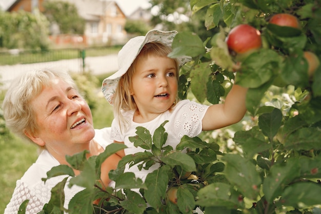 Grandmother and granddaughter together, hugging and joyfully laughing in a Flowering apricot garden in April. Family outdoors lifestyle.