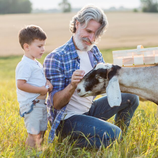 Grandpa and little boy playing with goats