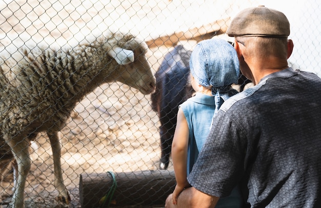 Grandpa with grandson looking at animals