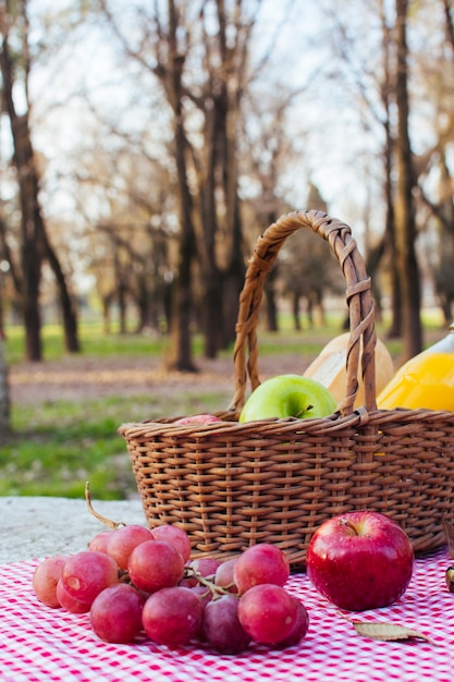 Free photo grapes on table cloth next to picnic basket