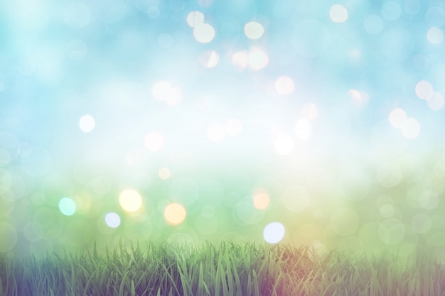 Free photo grass bokeh