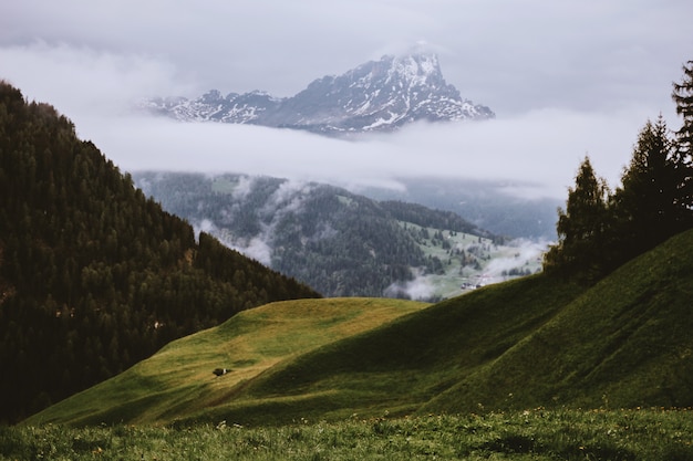 무료 사진 잔디 덮힌 언덕