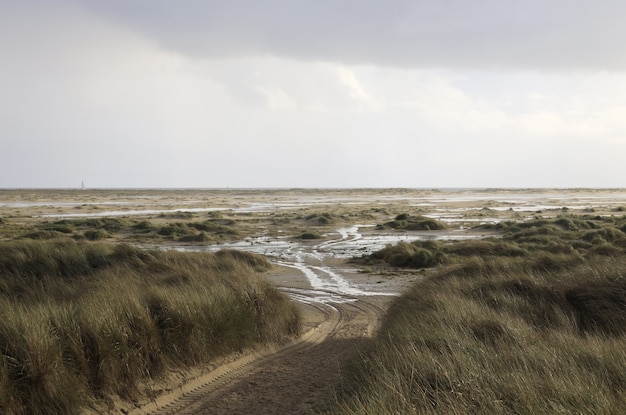 Foto gratuita erba e dune di amrum, germania sotto il cielo velato