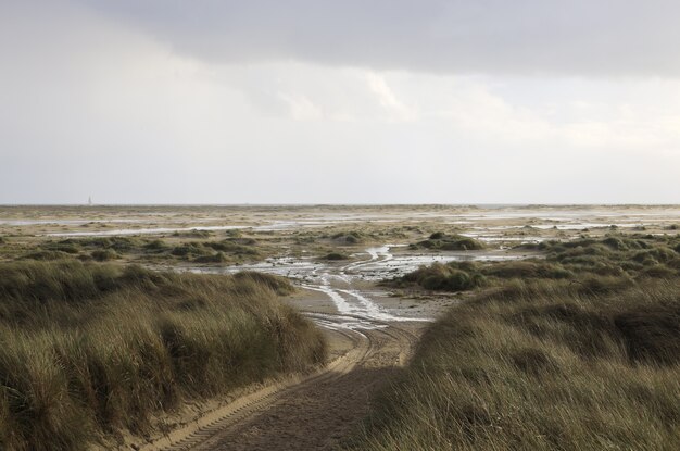 Grass and dunes in Amrum, Germany under the clouded sky