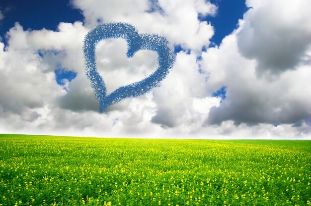 Grass field with cloud heart