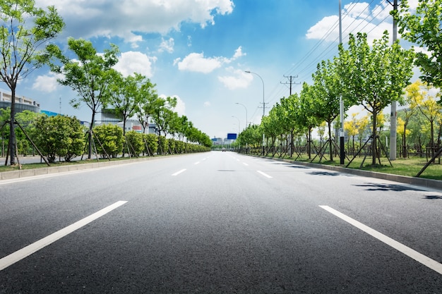 grass highway transport cloudy tree