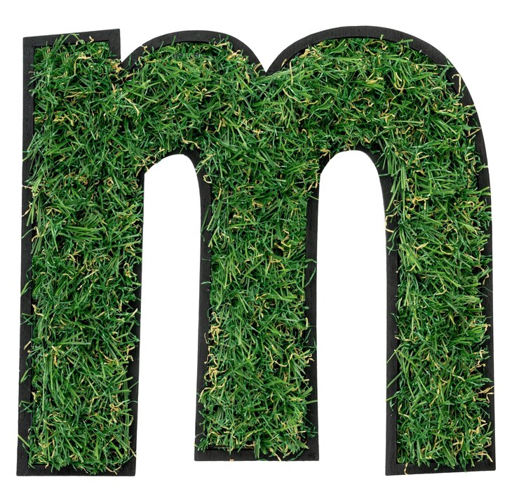 Free Photo grass letter m alphabet 3d design isolated transparent background