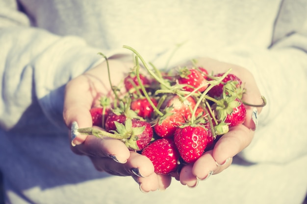 grass strawberry food fresh female