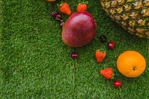 Grass surface with fruits and blank space