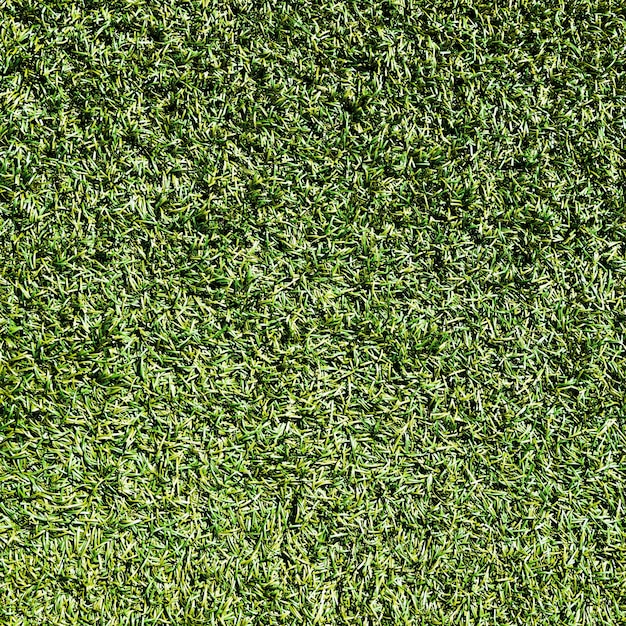 Grass texture background