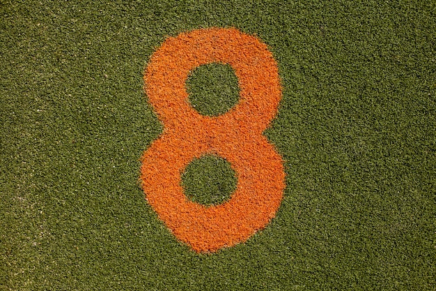 Grass texture with number eight