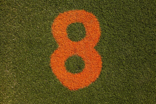 Grass texture with number eight