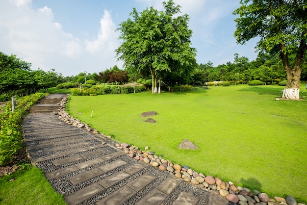 Free photo grassland landscape and greening environment park background