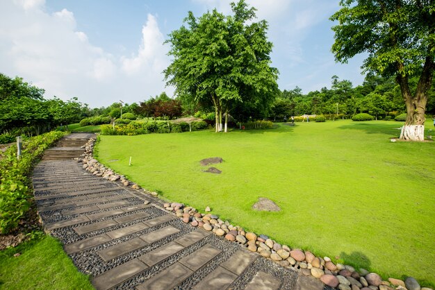 Grassland landscape and greening environment park background