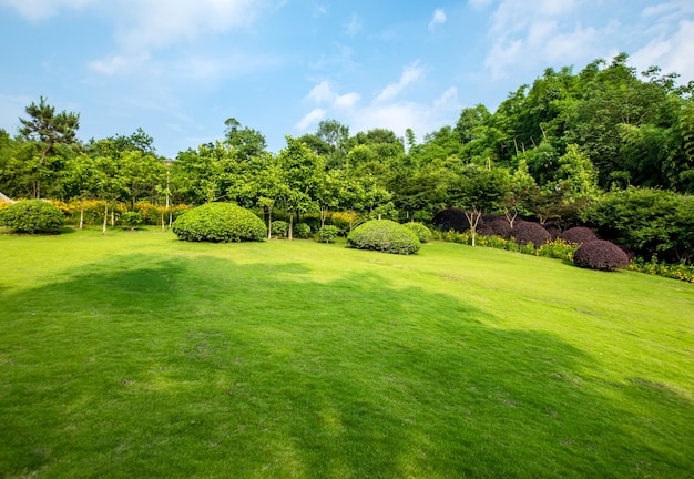 Foto gratuita paesaggio erboso e verde ambiente sfondo parco