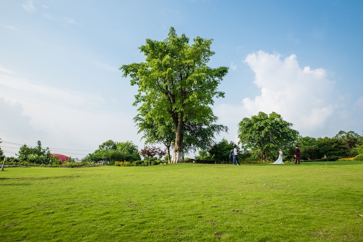 Free Photo grassland landscape and greening environment park background