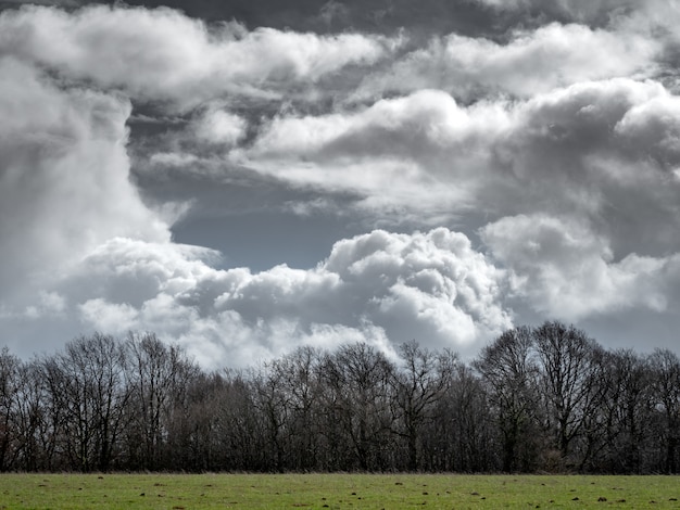 The worst tornadoes in North Carolina history