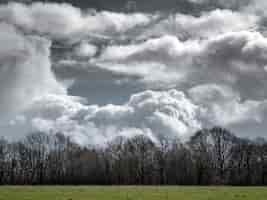 Free photo grassy field with leafless trees in the distance and a cloudy sky in the background