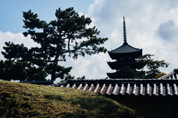 멀리 일본식 건물이 있는 잔디 언덕