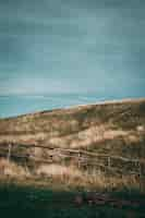 Free photo grassy hills with wooden fence