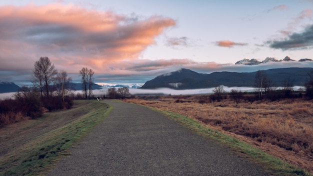 Foto gratuita gray asphalt road near green grass field