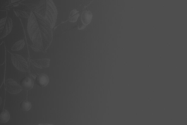 Gray floral border background