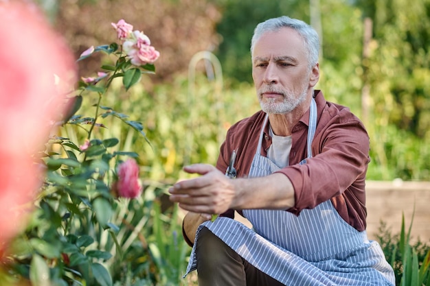 Седой мужчина работает в саду и выглядит сосредоточенным